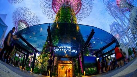 Gardens by the Bay Supertrees